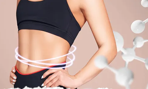 Does L-carnitine reduce belly fat.png